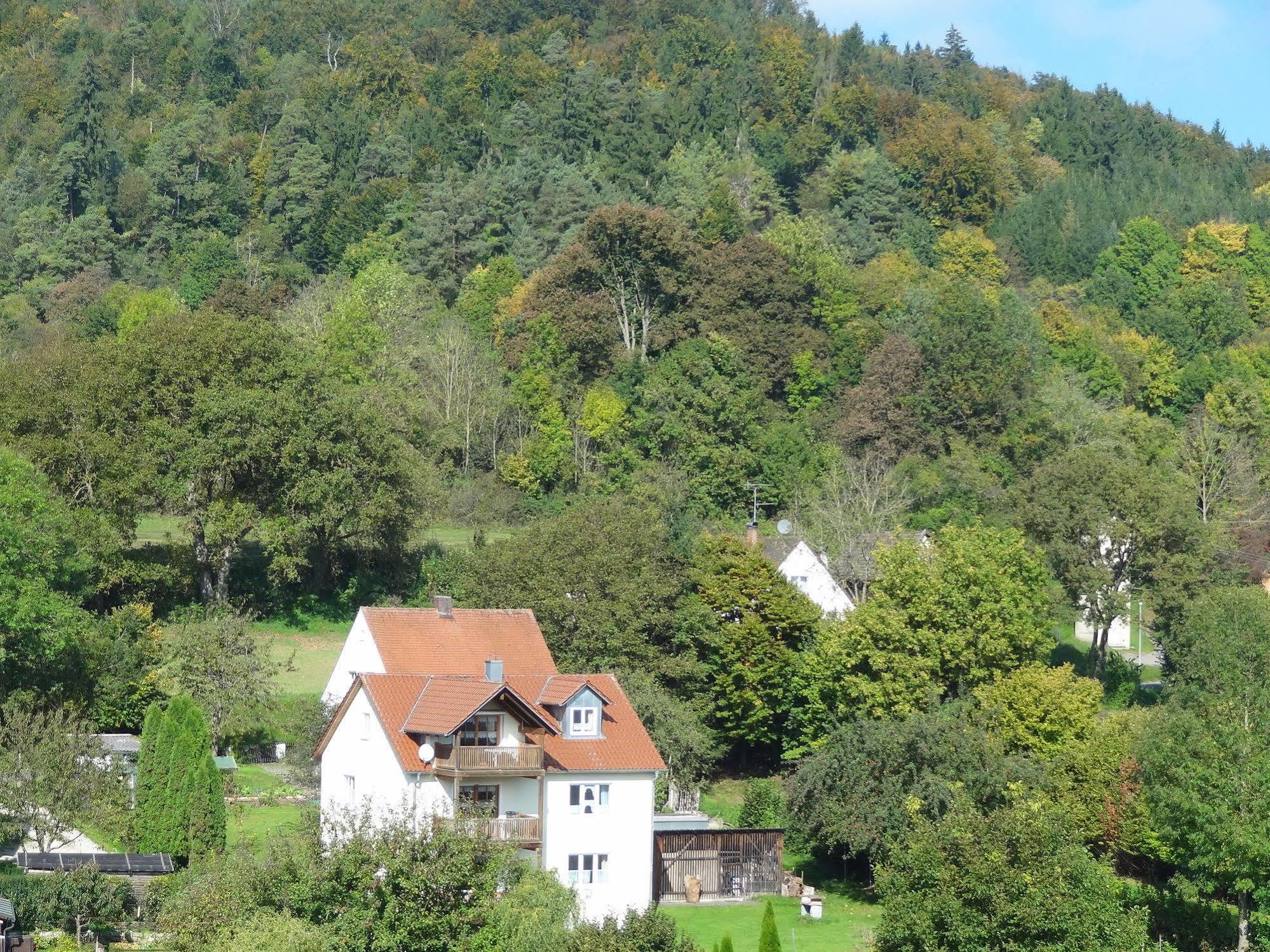 Donauer Im Altmuehltal - Ferienwohnungen Biberbach  Экстерьер фото