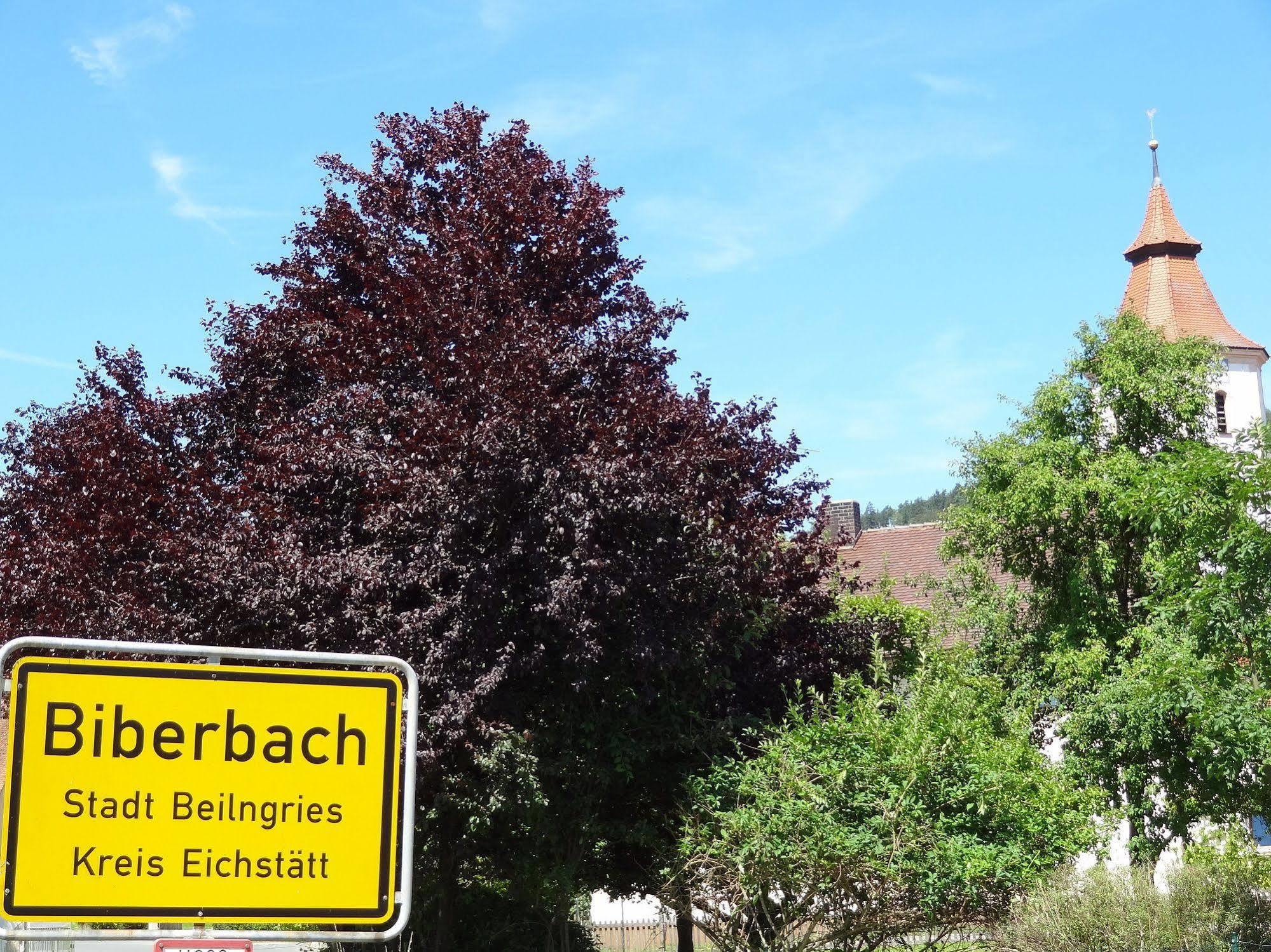 Donauer Im Altmuehltal - Ferienwohnungen Biberbach  Экстерьер фото