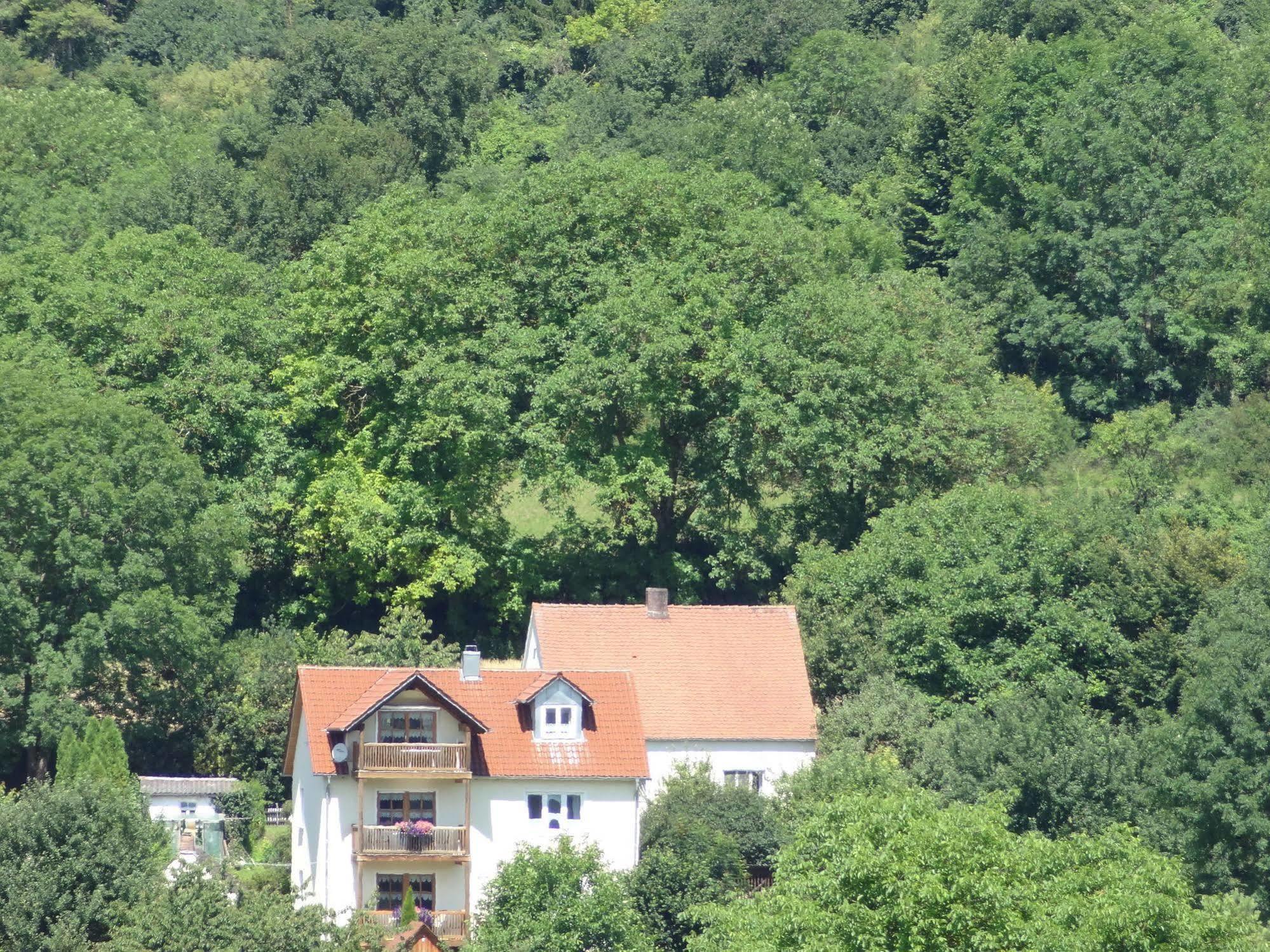 Donauer Im Altmuehltal - Ferienwohnungen Biberbach  Экстерьер фото